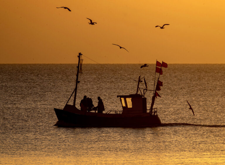 Fiskebåt i solnedgång